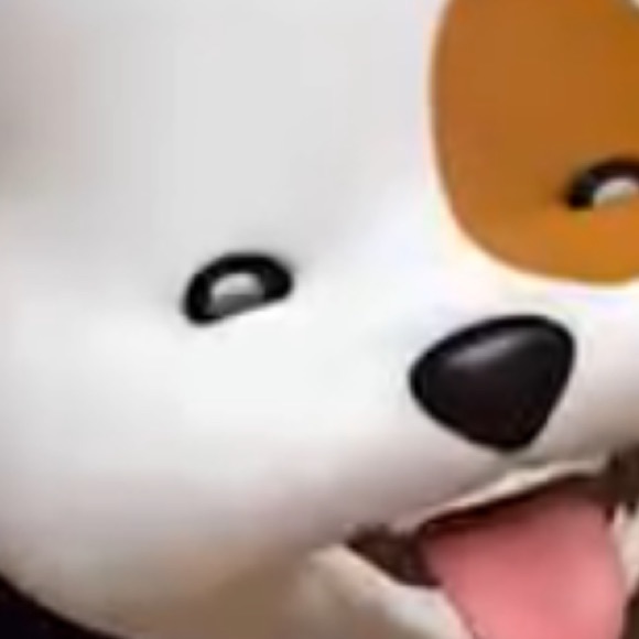 Meet your Posher, Sandy - Picture 1 of 1